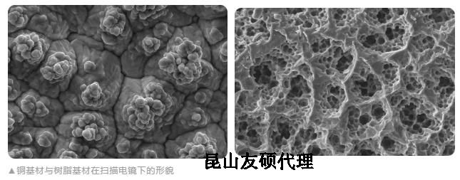 雅安蔡司雅安扫描电镜