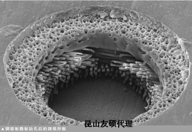 雅安蔡司雅安扫描电镜